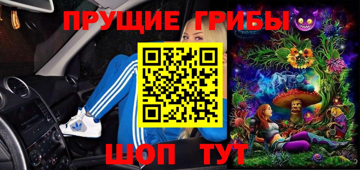 Галлюциногенные грибы Psilocybe Балашиха