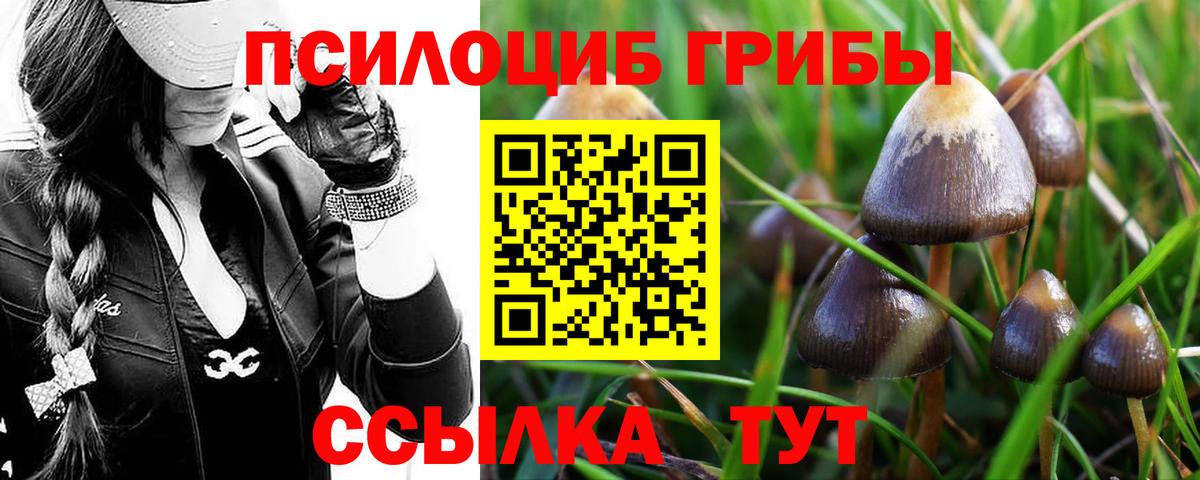 Псилоцибиновые грибы мухоморы  Псилоцибиновые грибы прущие грибы  Балашиха  Вход с VPN 