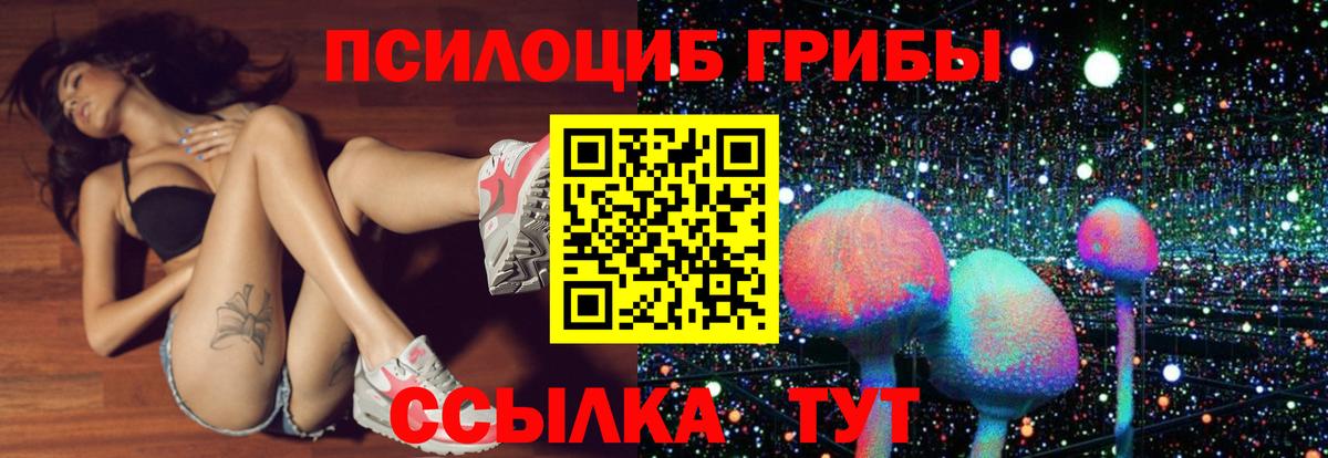 Псилоцибиновые грибы Psilocybe Балашиха